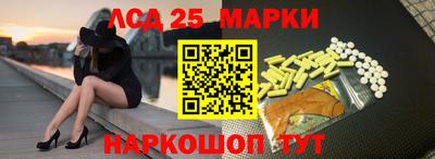тгк Новодвинск