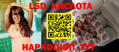 тгк Новодвинск