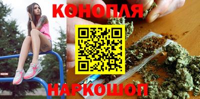 тгк Новодвинск