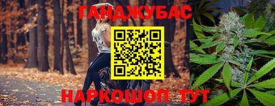 тгк Новодвинск