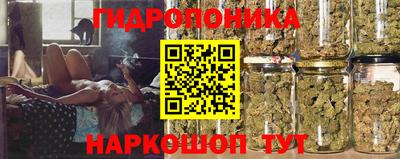 тгк Новодвинск