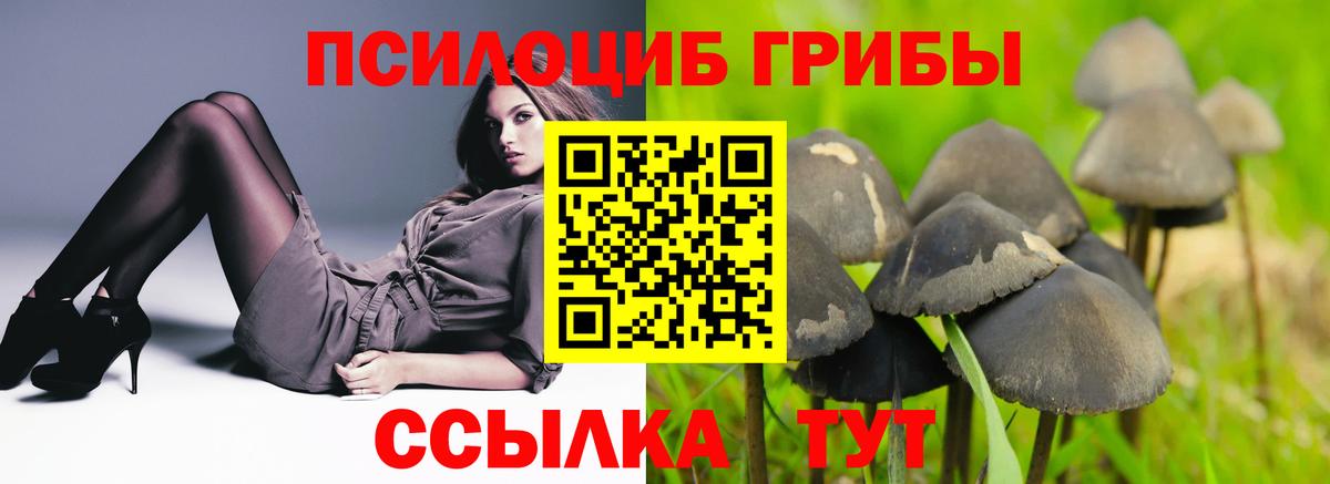 Санкт-Петербург  Псилоцибиновые грибы Psilocybe  Вход с VPN 